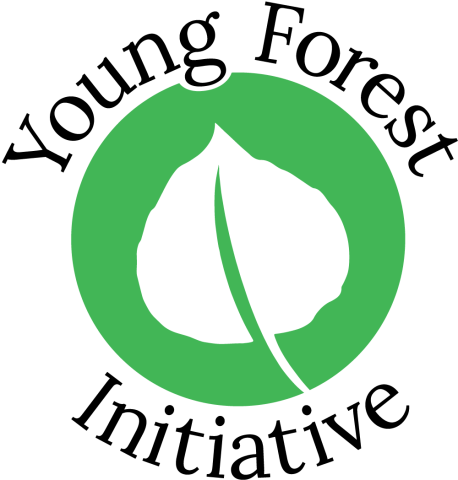 Young Forest Initiative logo
