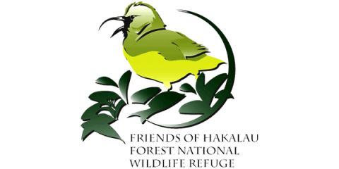 A logo featuring a yellow bird, the Akiapola'au