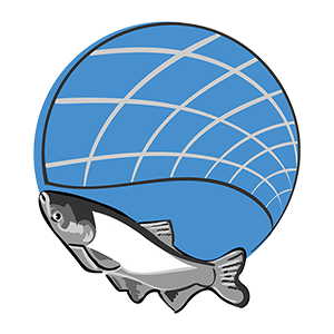 A illustrated fishing net coming down on an invasive carp.