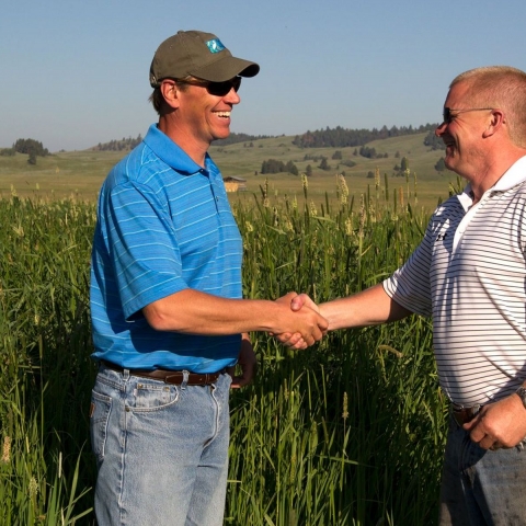 Two men smiling standing facing each other in a field of tall grass shake hands.
