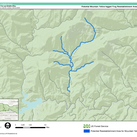 graphic map of green mountains with blue stream running through