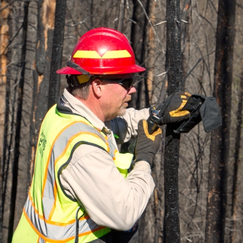 Profile photo of Kelly Connall