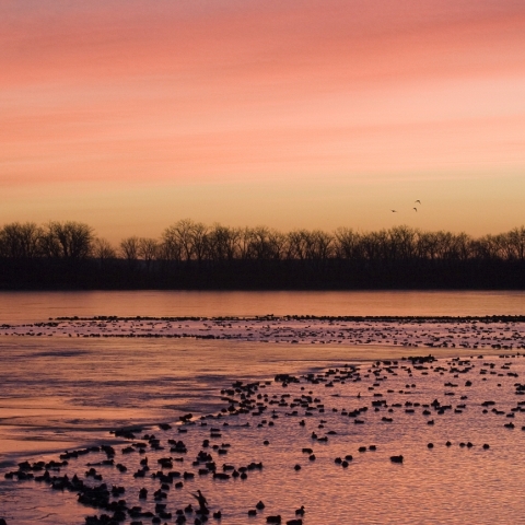 Sunset at DeSoto National Wildlife Refuge