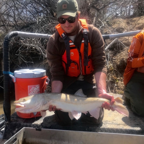 Man with brown sweatshirt, life jacket, hat and sunglasses holding a fish