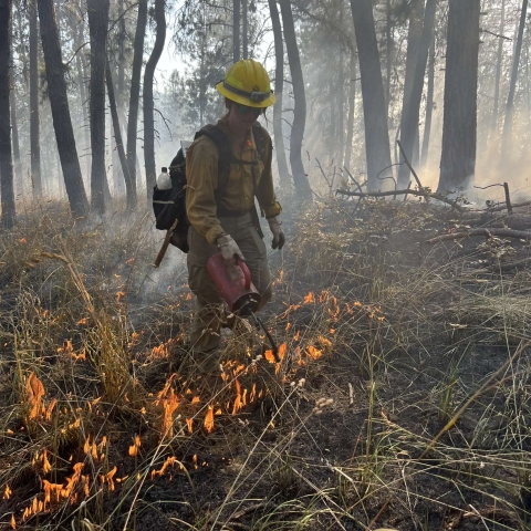 Profile photo for Alyvia Wright