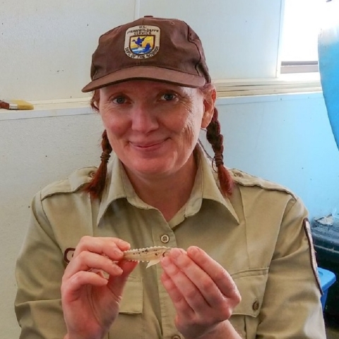 A woman in a brown uniform holds a small light colored sturgeon fish 