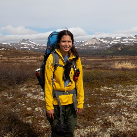 A woman wearing a large backpack stands before tundra and low-lying snow-speckled mountains.