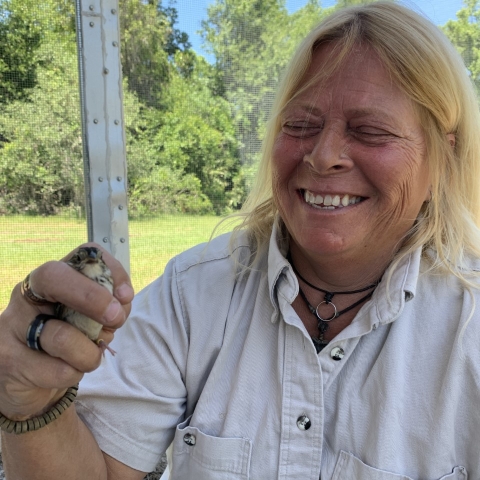 Cheryl Samek holding a Florida Grasshopper Sparrow.