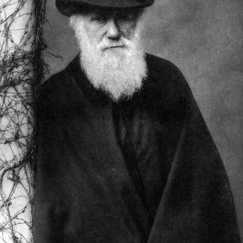 man with top hat and dark coat leaning against tree
