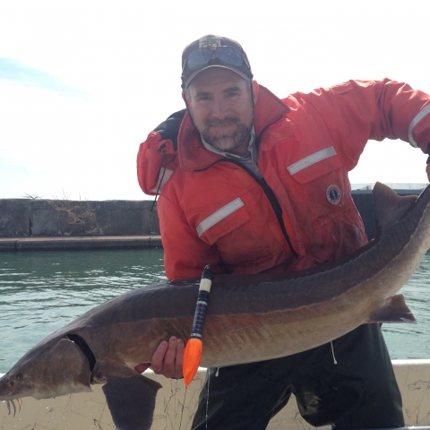  Biologist, John Sweka, holds a lake sturgeon outside of Buffalo Harbor, Lake Erie.
