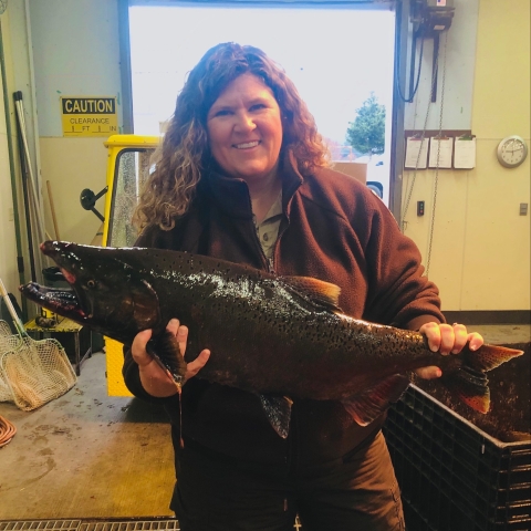 Adult Chinook salmon being held by a woman. 