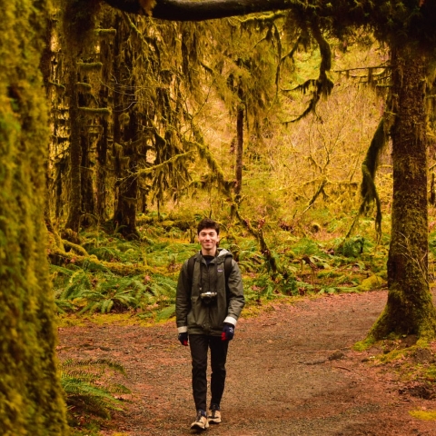a man walking through a forest