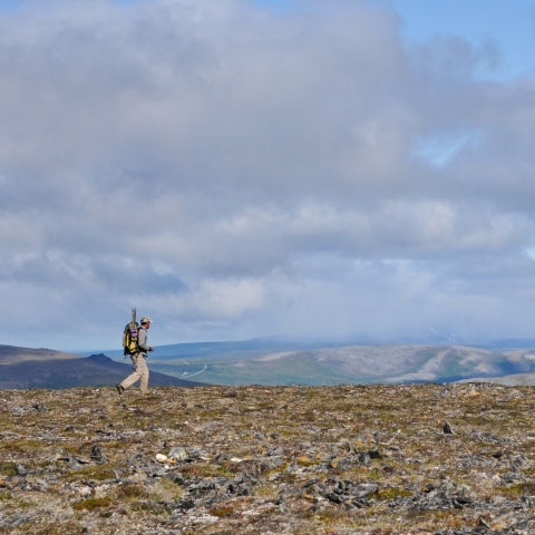 Man walking on tundra