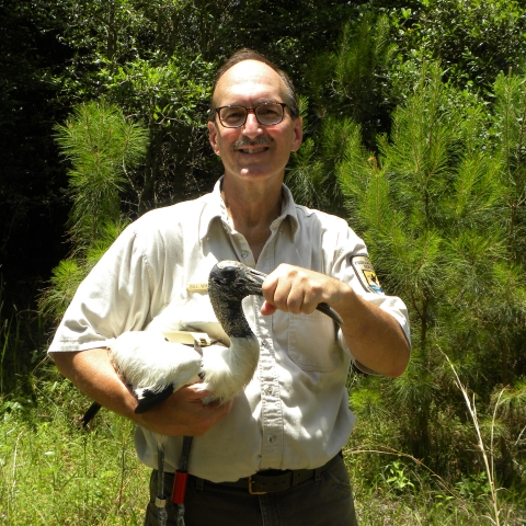 Bill Wikoff holding a wood stork