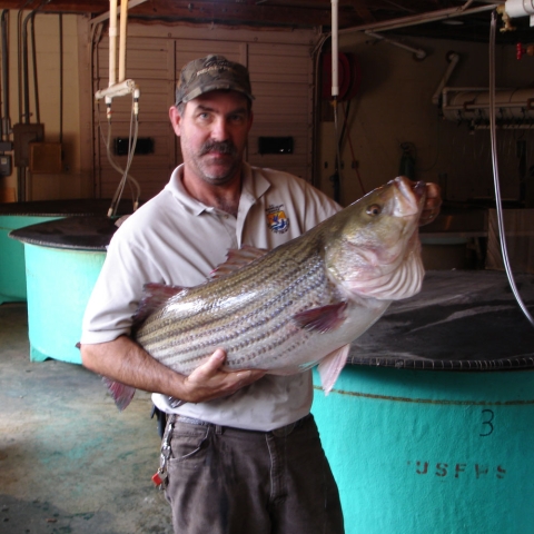 A man in front of industrial tanks holding an enormous fish.