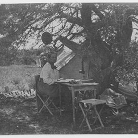 woman sitting at desk out side under a tree