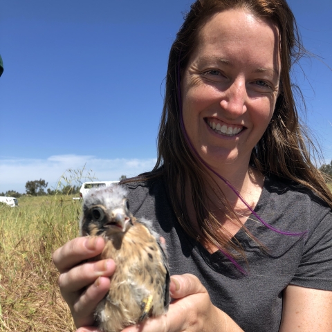 Jennifer Brown holding an American kestrel chick