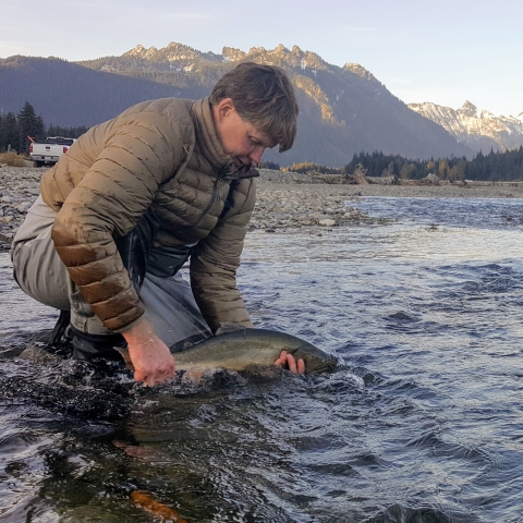 A man in waders and down jacket kneels in a stream to gently release a bull trout, with mountains in background dusted in snow.