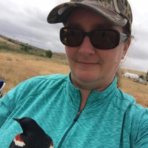 Lily Douglas holding a tri-colored blackbird during banding efforts