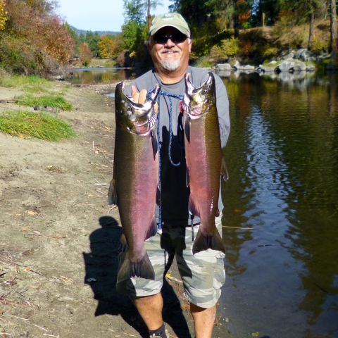 A man on a bright sunny day stands beside a stream holding two big red-colored salmon.