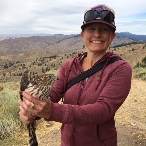 A woman with a hat on is holding a sharp shinned hawk with both hands