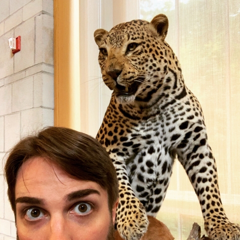 A man in the foreground looks nervous; a stuffed leopard stands in an active position in the background ready to pounce.