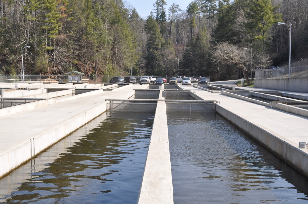 Outdoor raceways for trout rearing | FWS.gov