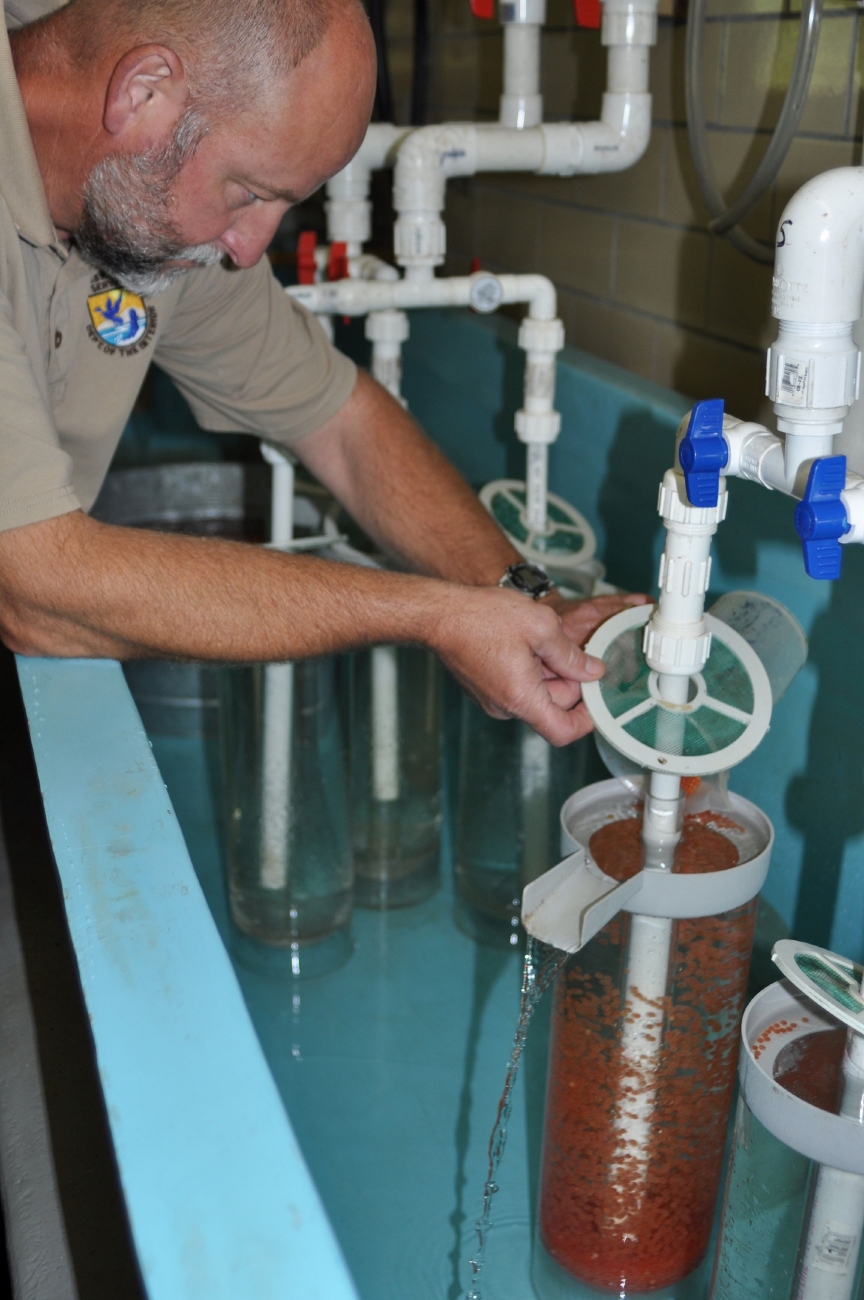 Trout egg hatching jars FWS.gov