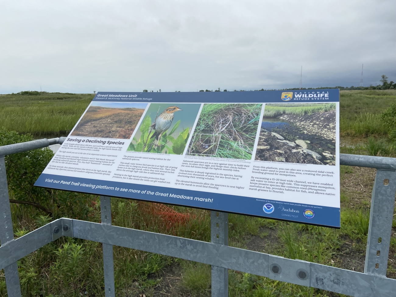 interpretive panel on Great Meadows Marsh (CT) viewing platform FWS.gov