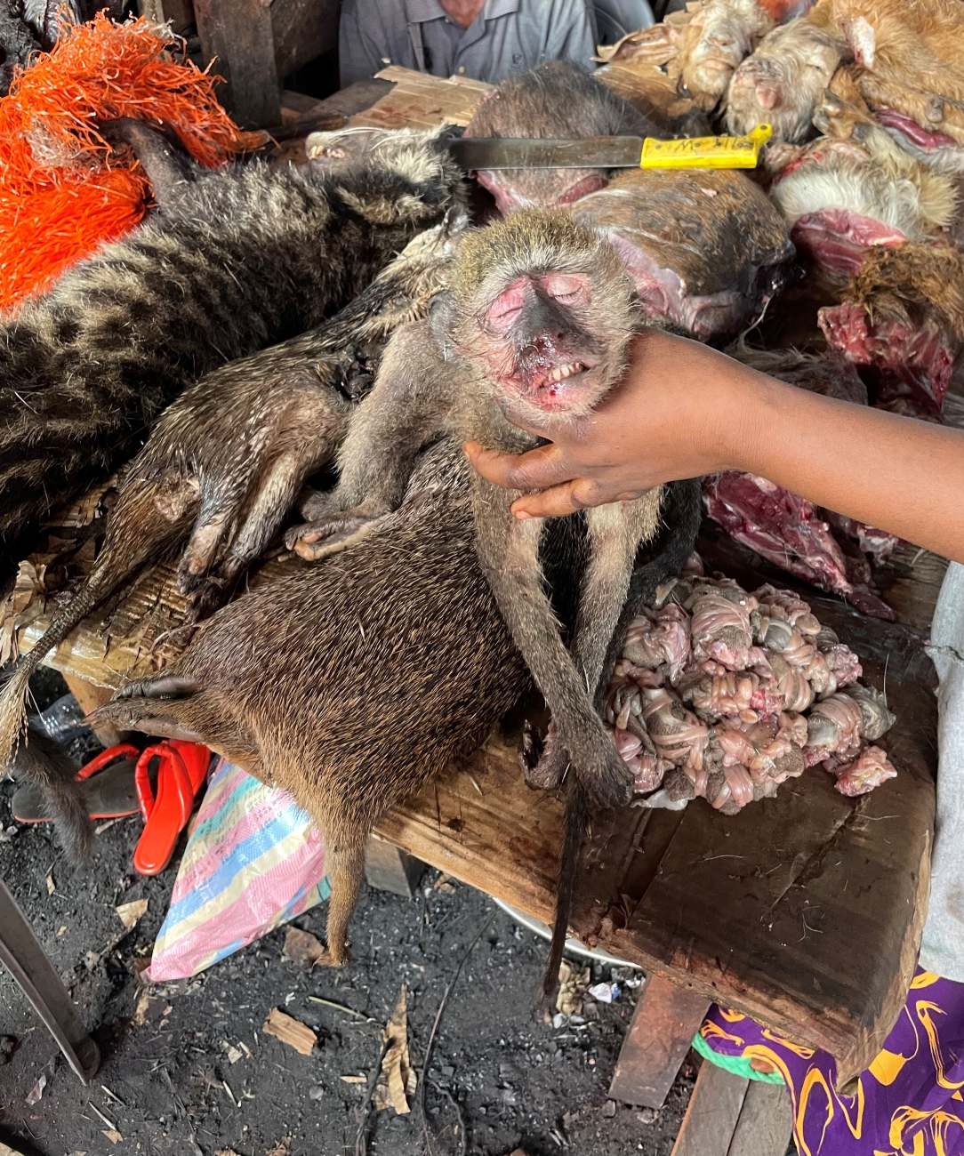 Bushmeat market (International Affairs) | FWS.gov