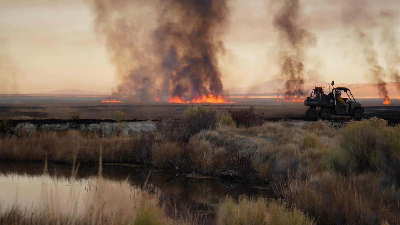 Prescribed fire operations at Ruby Lake National Wildlife Refuge | FWS.gov