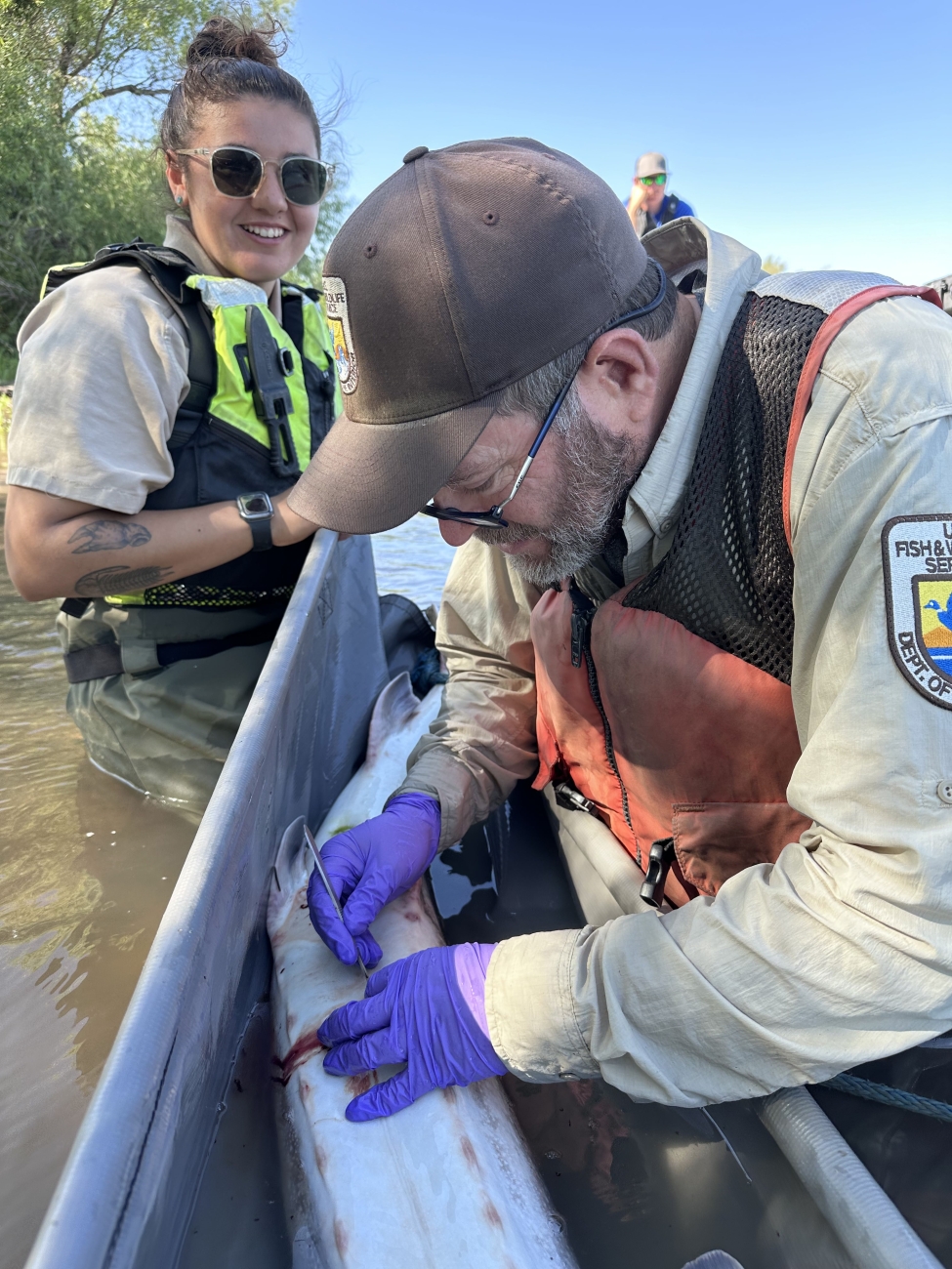 PIT Tag insertion | FWS.gov