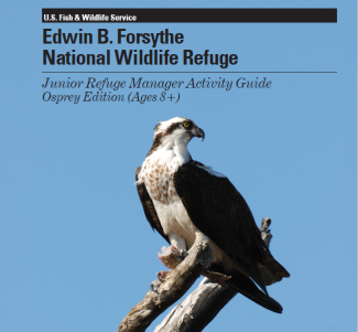 Junior Refuge Manager Activity Guide Osprey Edition (Ages 8+)