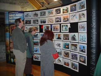 Three people look at the Junior Duck Stamp Art Exhibit