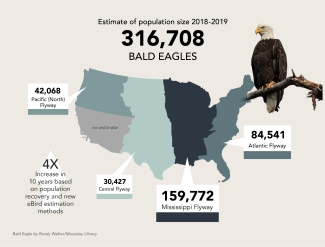 Bald eagle map