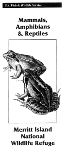 An image of the cover for the Mammals Amphibians and Reptiles brochure.