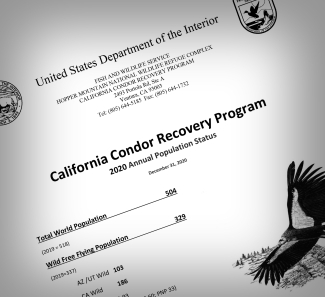 a screenshot of the front of the document