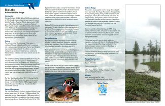 Preview image of the brochure. There are three columns of text, a picture of two ducks at the bottom, and a picture of trees on the lake to the right.
