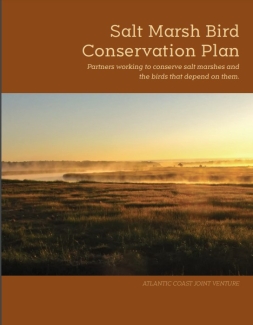 Image depicts report cover, with an image of a dawn salt marsh & the words: "Salt Marsh Bird Conservation Plan: Partners working to conserver marshes and the birds that depend on them. Atlantic Coast Joint Venture"