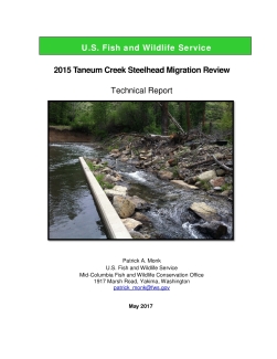 2015 Taneum Creek Steelhead Migration Review