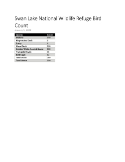 Swan Lake National Wildlife Refuge Bird Count Jan-5-2021