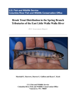 Brook Trout Distribution in the Spring Branch Tributaries of the East Little Walla Walla River 2011 Assessment Report