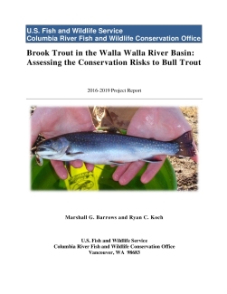 2016-2019 Report_Brook Trout in the Walla Walla River Basin - Assessing the Conservation Risks to Bull Trout