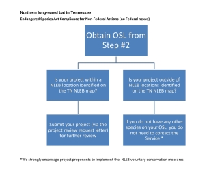NLEB Non-Federal Actions Flowchart