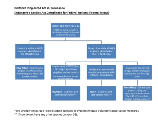 NLEB Federal Actions Flowchart
