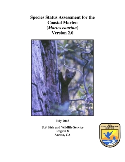 Species Status Assessment for the Coastal Marten (Martes caurina) Version 2.0