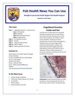 Fish Health News You Can Use (September 2019 Edition)