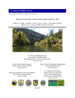 Mainstem Trinity River Chinook Salmon Spawning Survey, 2019