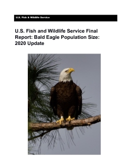 U.S. Fish and Wildlife Service Final Report: Bald Eagle Population Size: 2020 Update