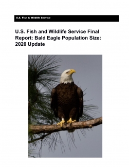 2020-bald-eagle-population-size-report